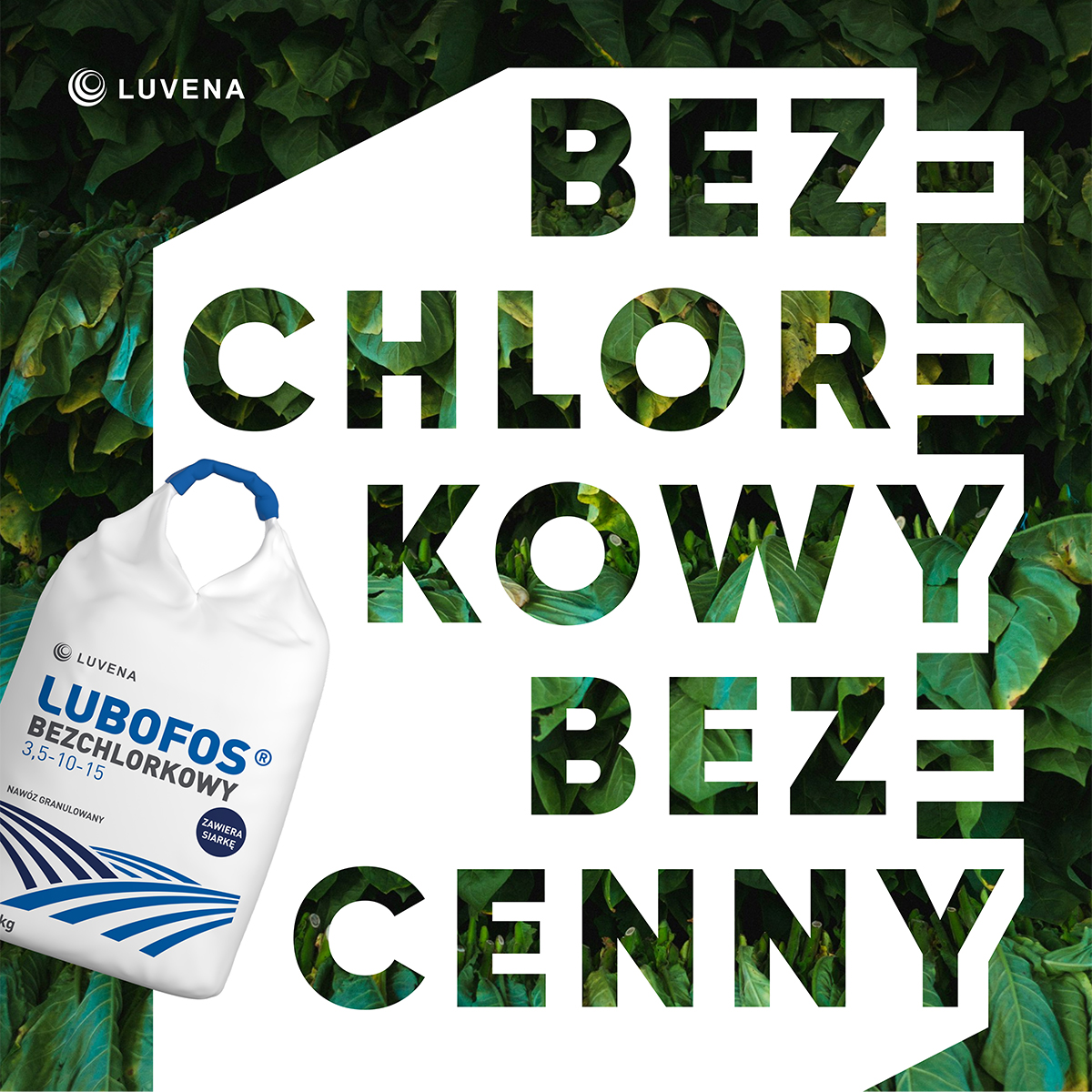 Zakwaszona gleba?
Kiepskie plony?

To może być oznaka zbyt dużego nasycenia chlorków 🚨
W odpowiedzi na te objawy, przedstawiamy Lubofos bezchlorkowy!

Stworzony z myślą o najbardziej uwielbianych przez nas, a jednocześnie wymagających roślinach, które nie tolerują zbyt dużego stężenia chlorków 🍓🍏🌹🥔🥒🫑🥬🧅

Daj swoim roślinom dokładnie to, czego potrzebują!
👉 nawozy.pl