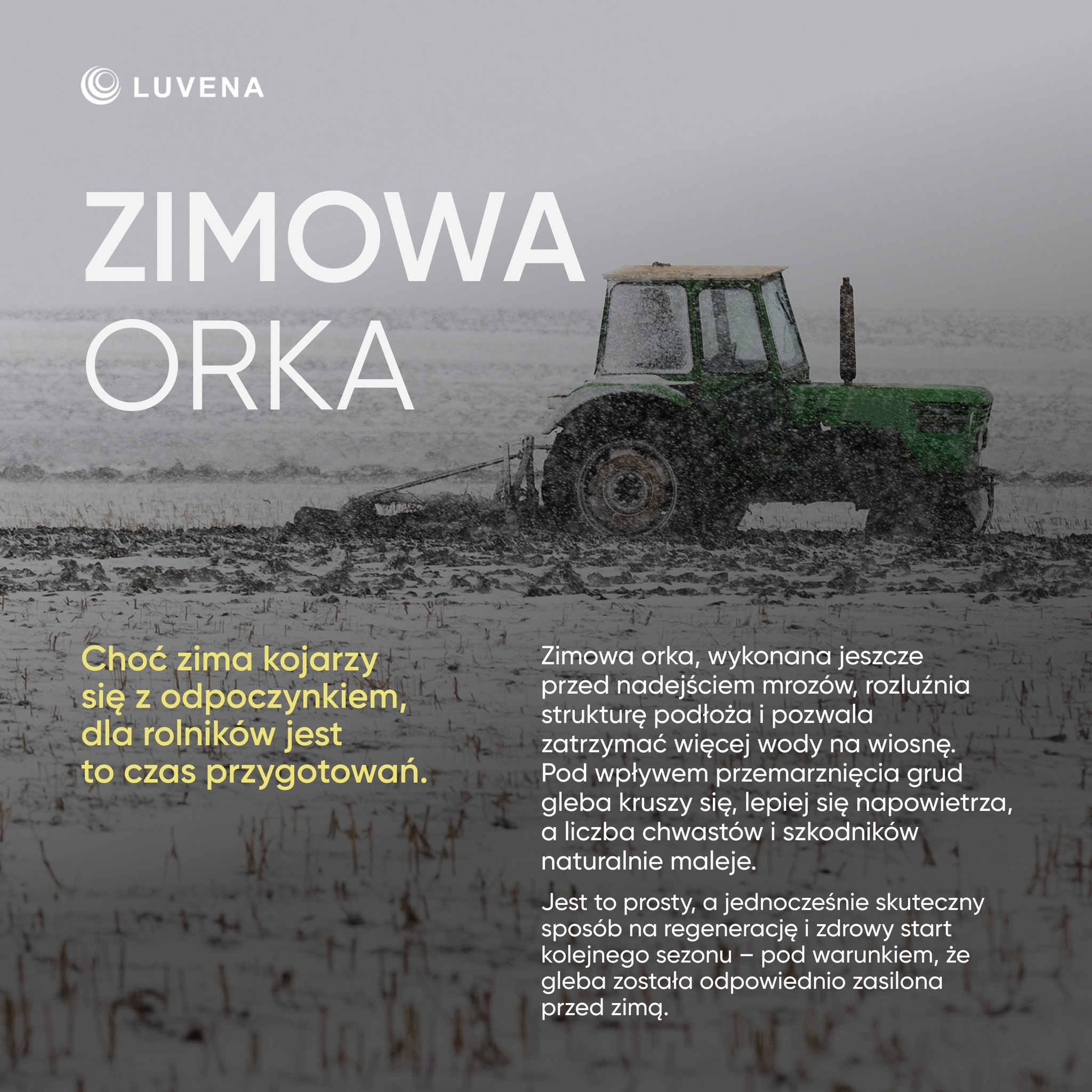 W rolnictwie doskonale sprawdza się zasada: jak sobie pościelisz, tak się wyśpisz.

Zimowa orka to właśnie ten moment, w którym przygotowuje się grunt pod przyszłoroczne plony, by na wiosnę plony były zdrowsze i silniejsze ❄️🌱