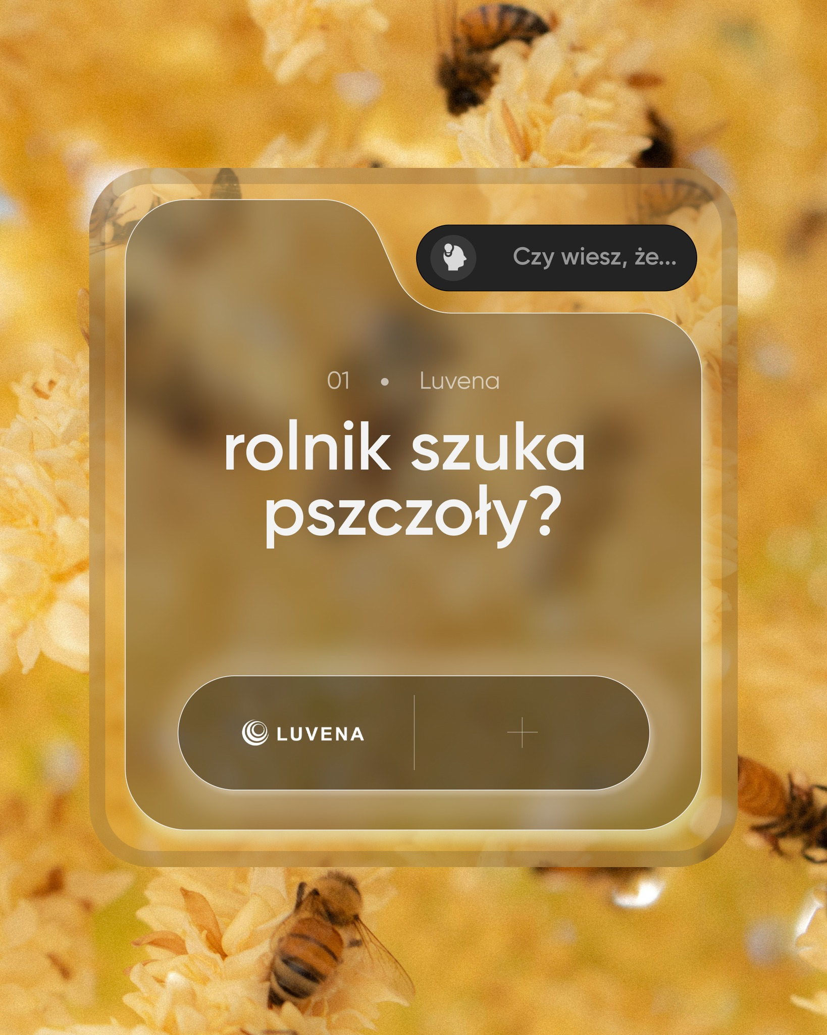 Rolnik szuka pszczoły?
W jakim celu?
Kliknij i dowiedz się dlaczego