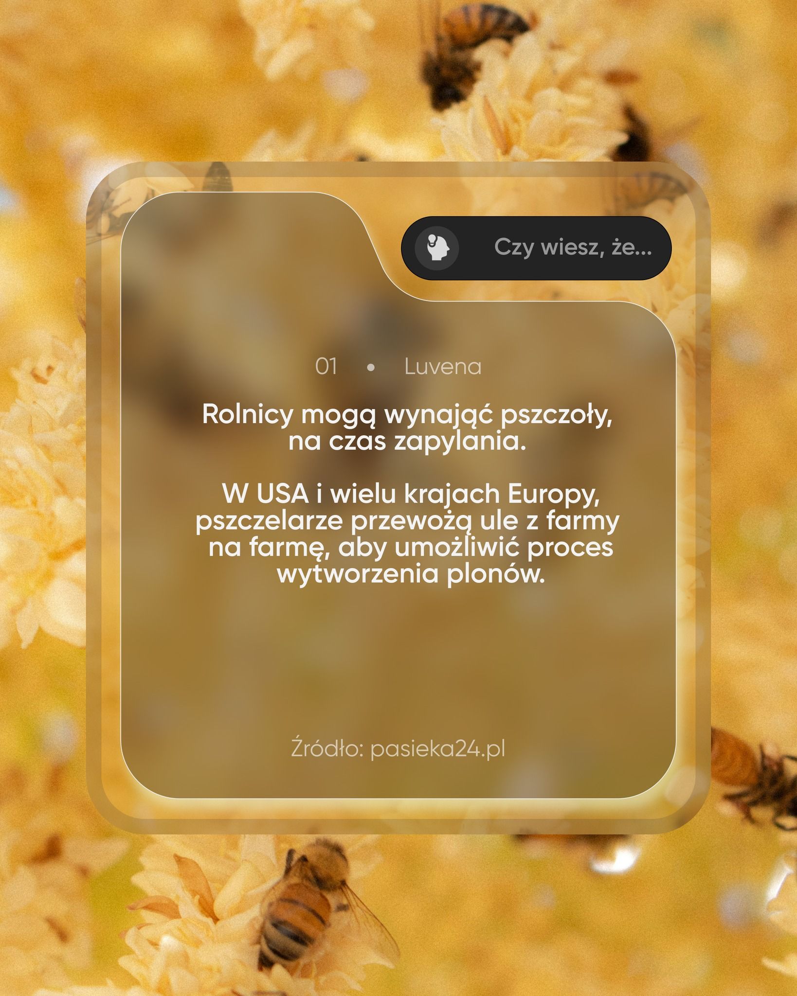 Rolnik szuka pszczoły? 

W jakim celu? 
Kliknij i dowiedz się dlaczego